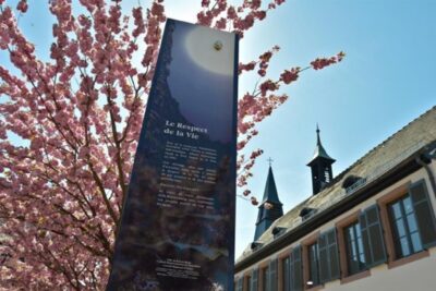 Agrandir l'image 1 sur 1, fenêtre modale