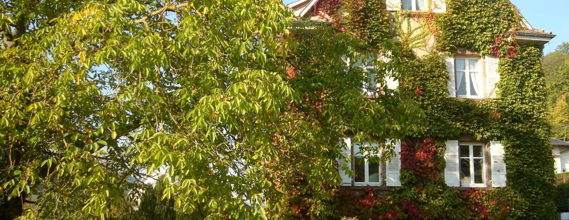 Maison Albert Schweitzer à Gunsbach