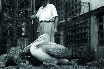 Agrandir l'image 3 sur 3, fenêtre modale